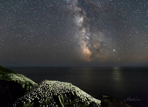 Open image in slideshow, Milkyway Over Gannets
