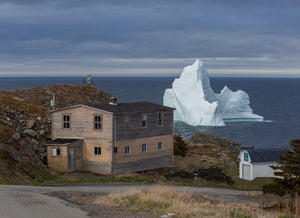 Grates Cove Iceberg