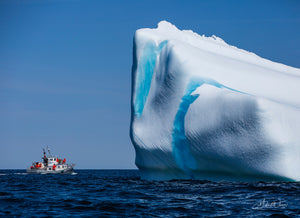 Open image in slideshow, Iceberg Alley
