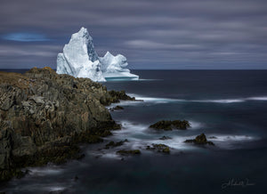 Iceberg Coast