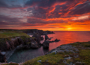 Open image in slideshow, Newfoundland Sunrise
