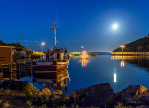 Open image in slideshow, Petty Harbour Moonlight
